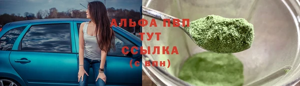 сатива Мегион